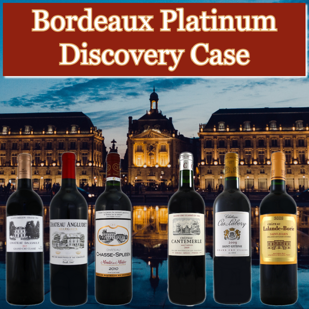 Bordeaux - Platinum Discovery Case