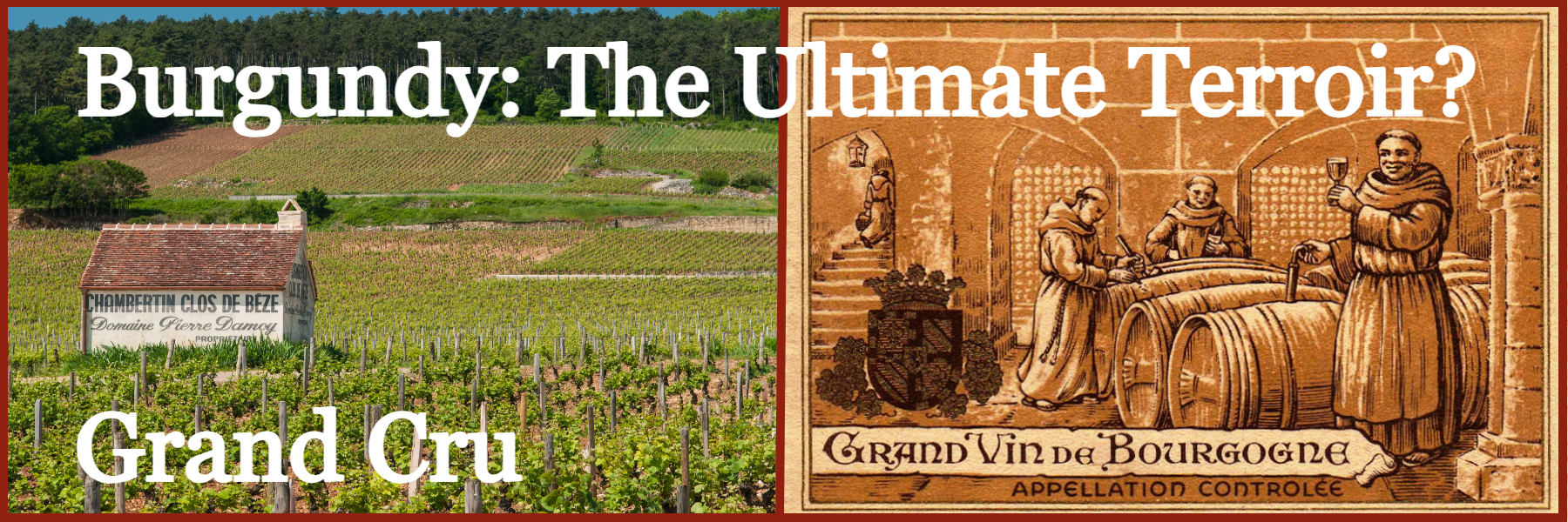 Burgundy: The ultimate terroir?