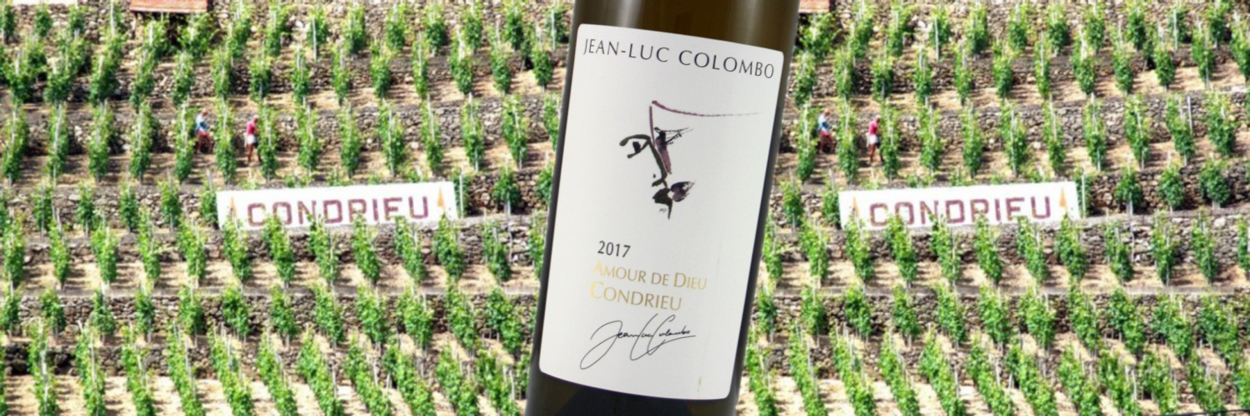 Condrieu Vineyards & Colombo Condrieu