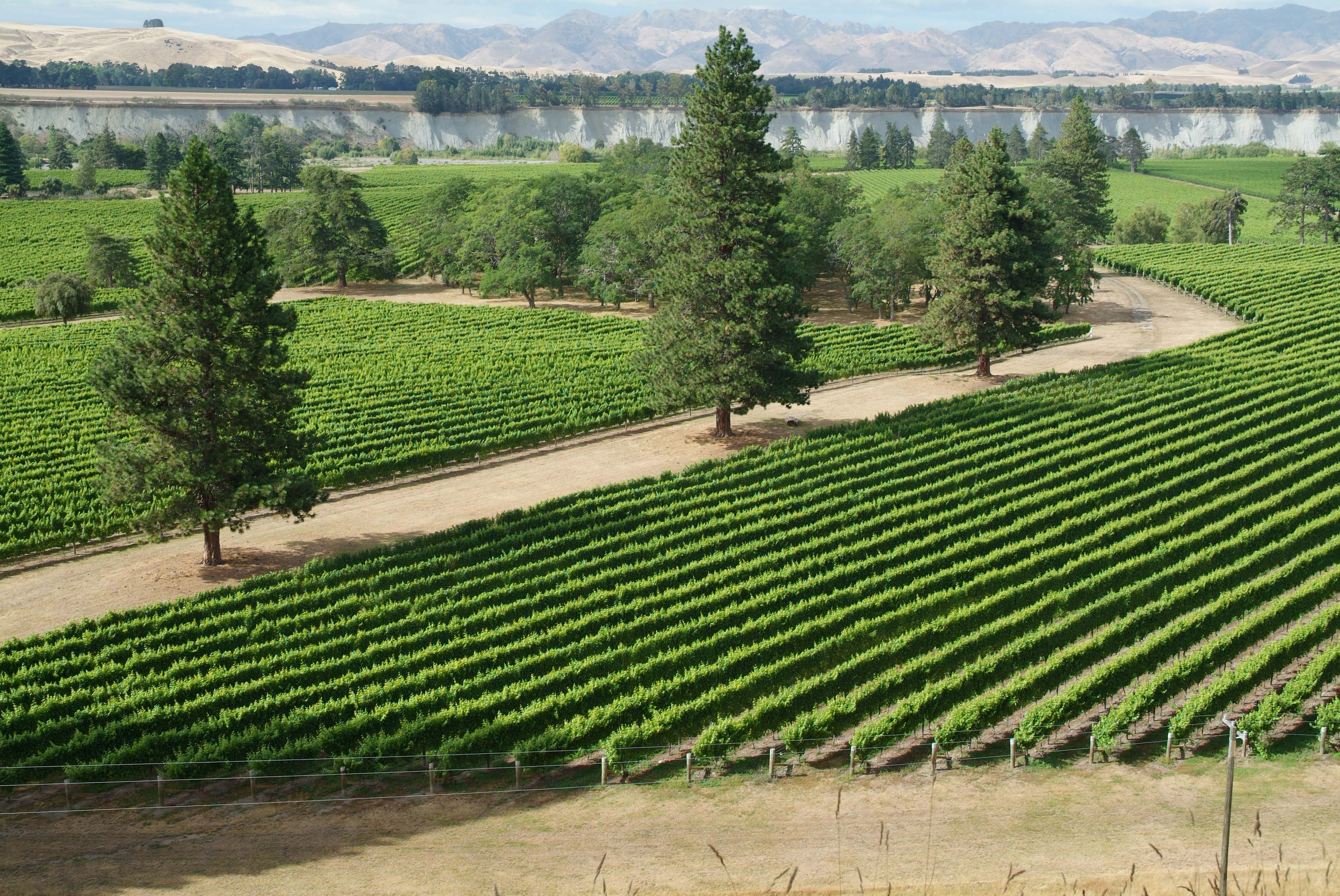 Crossing Winery New Zealand