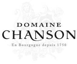 domaine-chanson-logo.png