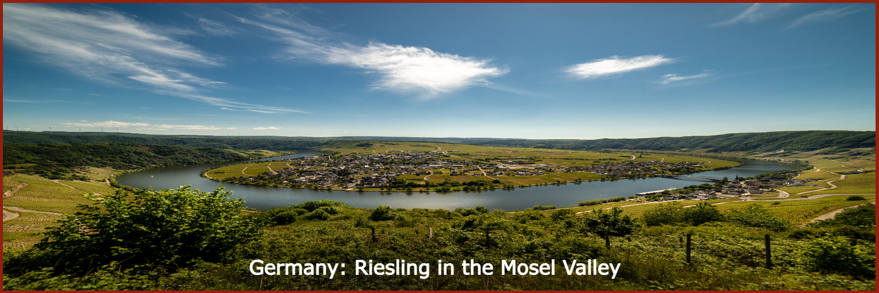 View all Mosel Riesling wines at Frazier's