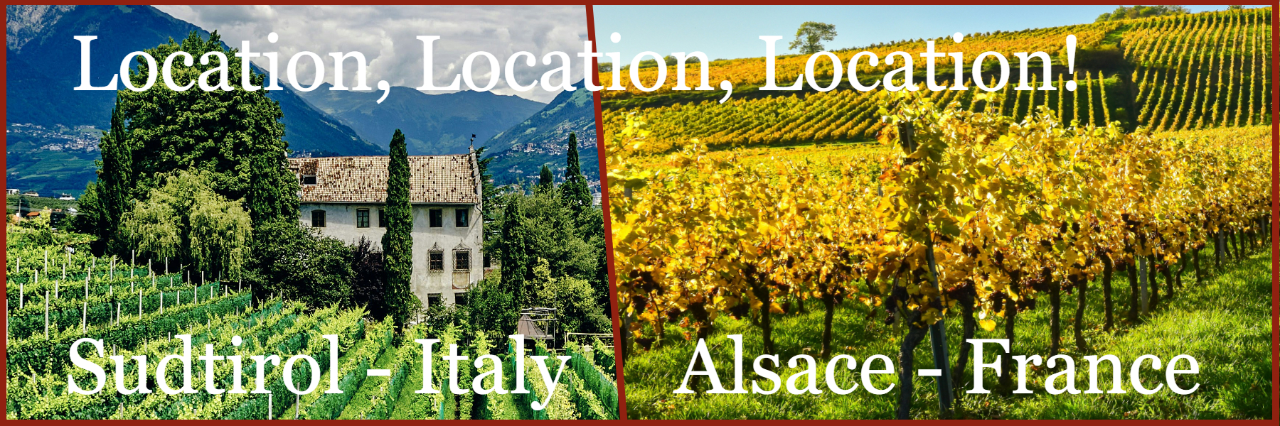 Terroir: View Alsace wines at Frazier's