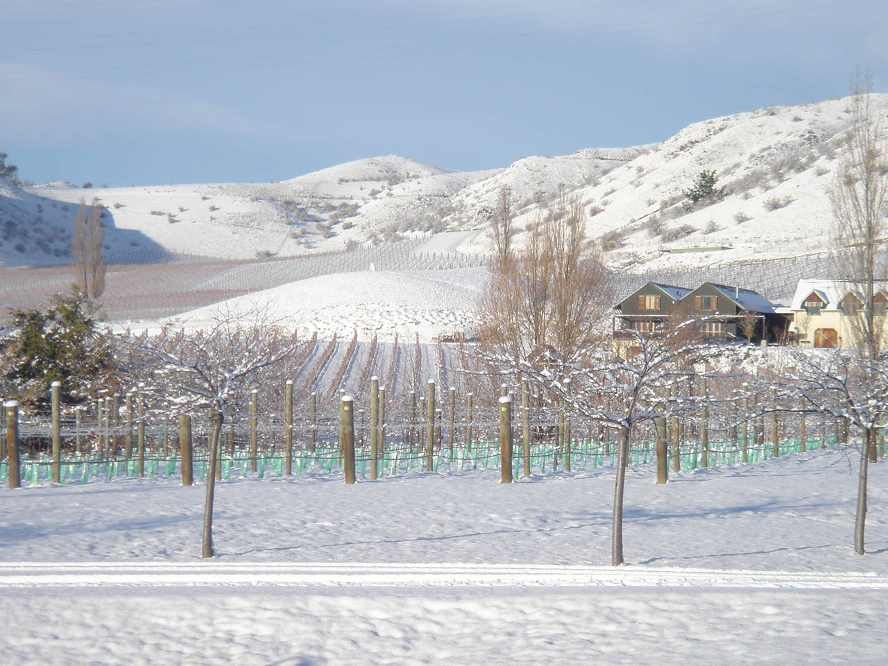 Felton Road - "The Elms" vineyard in winter